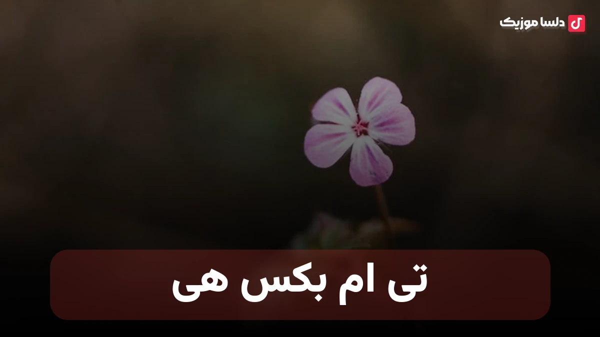 نمی تونم بهت فکر نکنم هی از تی ام بکس